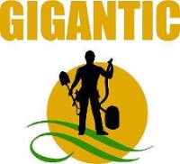 GIGANTIC Mold Remediation