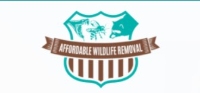 Affordable Wildlife Removal Orlando