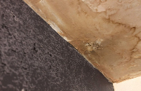 Mold Experts of Utah