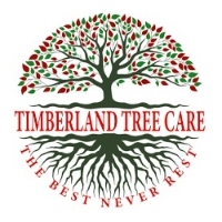 Timberland Tree Care