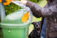 Pet Poo Disposal