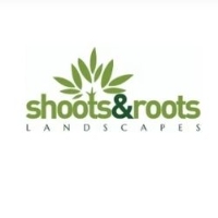 Shootsandrootswales