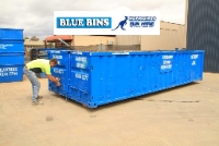 Bluebins