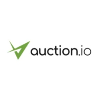 Online Auctions