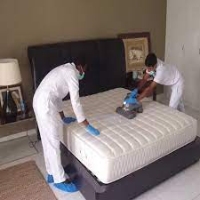 Mattress Cleaning Adelaide