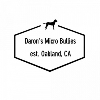 Daron's Micro Bullies