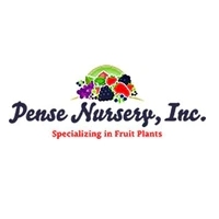 Pense Nursery, Inc.