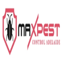 Spider Pest Control Adelaide