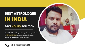 Astrologer in India - Pandit Ravi Shandillya Company Logo by Pandit Ravi Shandilya in Mohali 