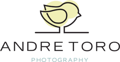 Andre Toro Photography Company Logo by Andre Toro in Lexington 