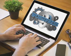 Best Wordpress Web Designer in Dubai