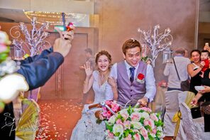 PROFESSIONAL WEDDING PHOTOGRAPHERS AND VIDEOGRAPHERS