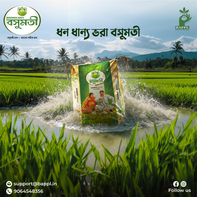 Enjoy the Best Varieties of Wholesale Brown Rice from Bardhaman Agro Products India Private Limited!