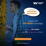 Cisco SD-WAN Courses