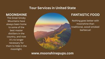 Tour Services in United State