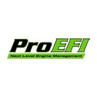 ProEFI - EFI system