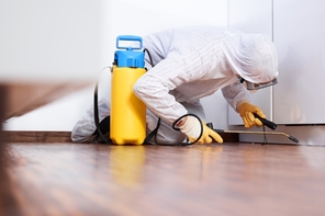 pest inspection Melbourne