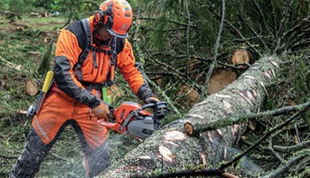 Bergen TreService - Trefelling Og Trepleie Ekspert