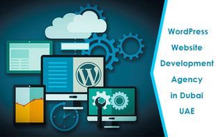 Want To Create A Website That Looks Great And Functions Flawlessly? Choose Our Wordpress Website Development Services!