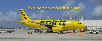 How do I speak to a live person at Spirit Airlines?