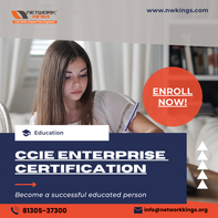 Best CCIE Training with Certification - Join Now