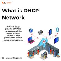 What is DHCP Network - Network Kings