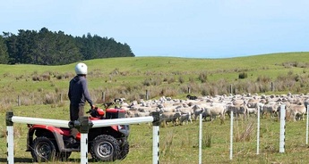 Reliable Post and Rail Fence Supplies at FSP New Zealand