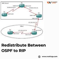 Redistribute Between OSPF to RIP