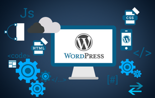 Expert-Wordpress Website Design Abu Dhabi Services