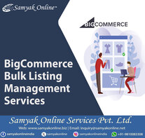 BigCommerce Bulk Listing Management Services