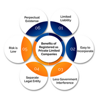 How to Register a Private Limited Company in India by VenturEasy