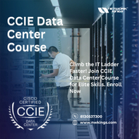 Best CCIE Data Center Training