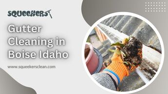 Professional Gutter Cleaning: A Time-Saving Solution for Boise Homeowners