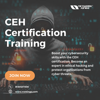 CEH Certification Training