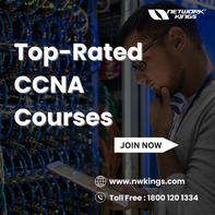 Master the Networking World with Top-Rated CCNA Courses