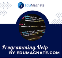 Avail USA’s Best Online Programming Help by Edumagnate.com