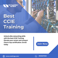 Best CCIE Training Program - Enroll Now