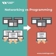 Networking vs Programming - Network kings