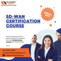 Best SD-WAN Training Provided by Network Kings