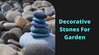 Get Affordable decorative stones for the garden At Your Doorsteps Now!!