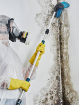 Phoenix Mold Remediation - Mold Containment & Removal