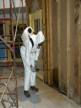 Mesa Mold Remediation- Mold Containment and Removal