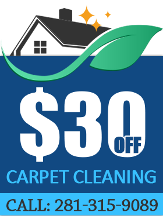 Rug Cleaner Pasadena TX