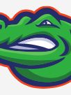 Gainesville Gator Electricians