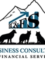 Business Consulting and Financial Services