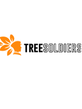 HandyHome Finder Tree Soldiers in Clarence Center 