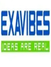 Exavibes Services Private Limited