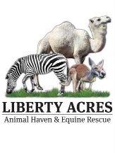 Liberty Acres Animal Haven & Equine Rescue