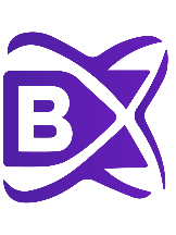 blockchainX