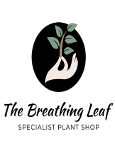 The Breathing Leaf